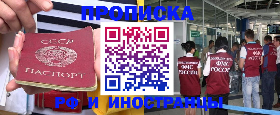 прописка 2025 в Светлогорске